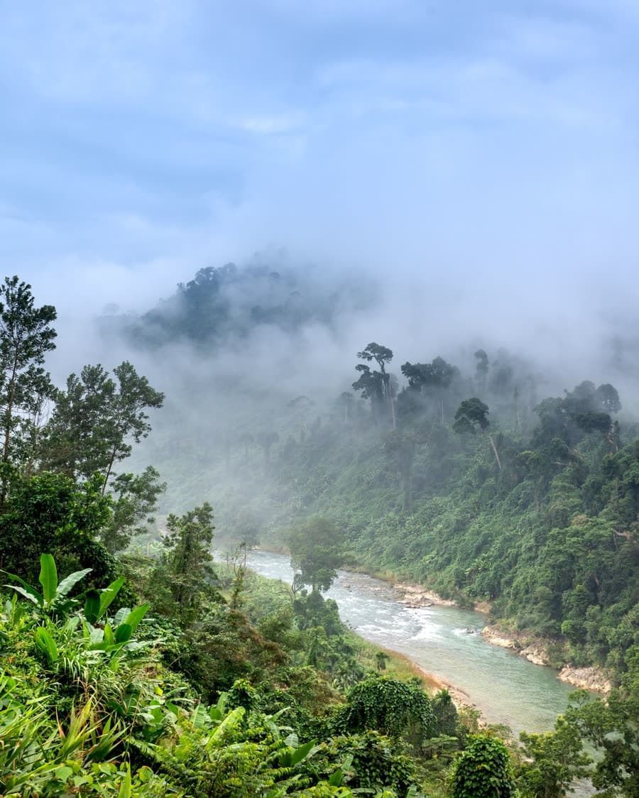 Rio e floresta com névoa na Amazônia